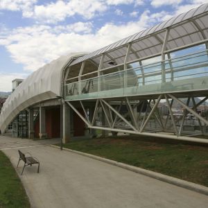 profile view of the tensioned structure